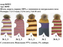 869П1.jpg