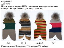 869П3.jpg