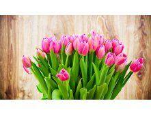 Holidays   International Womens Day Tenderly pink tulips in a bouquet on March 8 097093 .jpg