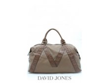 David Jones 81169 Sane 1700 .