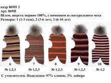 869П2.jpg