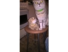 WP 20161004 20 21 21 Pro.jpg