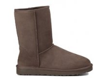  UGG Classic Short -   ( 36-40), , 4200