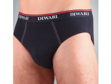 DIWARI ( ) MSL 017.jpg