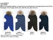 818М2.jpg