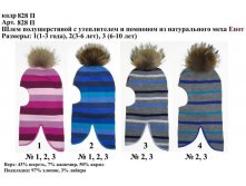 828П.jpg