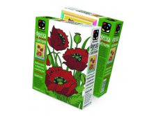 407061_407061    _210 +%