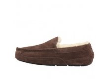  UGG Ascot -  ( 41-45), , 4700