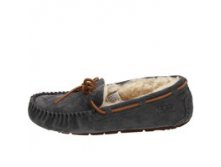  UGG Dacota -  ( 36-40), , 4400