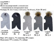 818М1.jpg