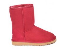  UGG Classic Short -   ( 36-40), , 4500