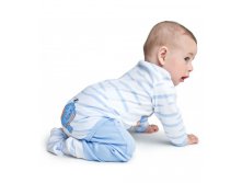 IMG 1872-500x554.jpg