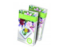 981004_981004    &#8470;4 _123 +%