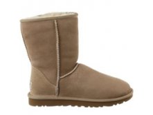  UGG Classic Short -   ( 36-40), , 4200