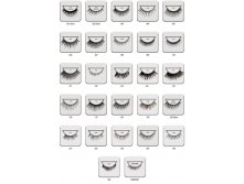  Fashion Lashes (-   )