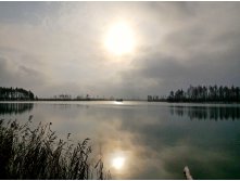 P 20161105 124946.jpg