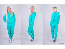 Nk475 5335w Костюм-двойка утепленный женский Nike 990руб.