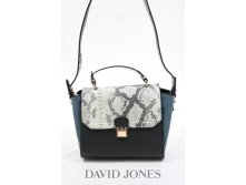 David Jones 3239 1160