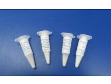 Культура белой плесени Geotrichum Candidum на 50 л молока.jpg