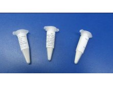 Закваска для Российского сыра (Lactococcus lactis, Lactococcus cremoris, Lactococcus diacetylactis, Leuconostoc mesenteroides подвид сremoris) на.jpg