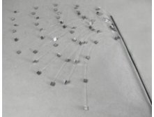 TLN915      ,  102 .  308.jpg