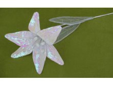 TLN903      80 .  392.jpg