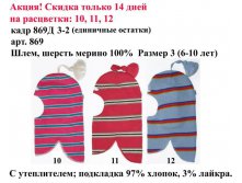 869Д3-2.jpg
