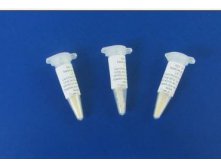 Закваска для сыра LH 100 (Lactobacillus delbrueckii subsp.lactis, Lactobacillus helveticus) на 100 л молока, флакон-пробник.jpg