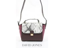 David Jones 3239 1160