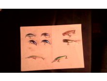 IMG 20161216 075709.jpg