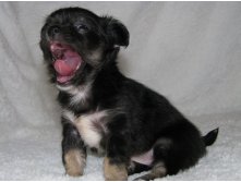 15326600 1223097671089987 8032284560778655528 n.jpg