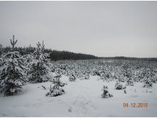 DSCN2403.JPG