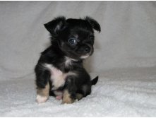 15337653 1223097761089978 7799776432526064505 n.jpg