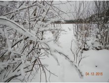 DSCN2401.JPG