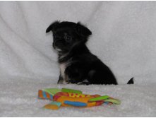 15356526 1223097827756638 5886994491100662293 n.jpg