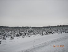 DSCN2404.JPG