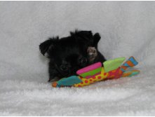 15284143 1223097901089964 3021831322223162063 n.jpg