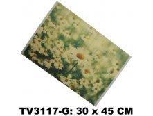 TV3117G-A . 58 .+%