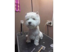 20170115 180502.jpg
