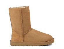  UGG Classic Short -  , 3900