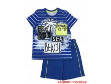 N651 vasilek poloska, 317+%