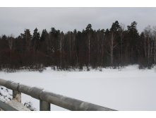 IMG 8669.JPG