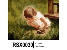 RSX0030 28-1548-228x228.png