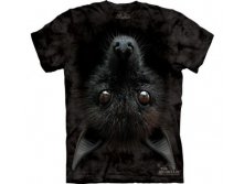 3    M L XL XXL.jpg