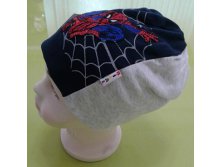 Image192.jpg