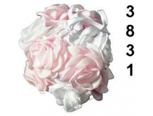 3831  - ""   13,,  570
