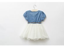 2015-Princess-Girls-Baby-Kids-Party-Lace-Belt-Denim-Tulle-Gown-Dresses-1-6Y-back.jpg