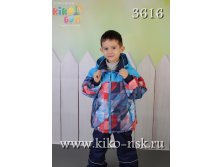 3616    2880. : 80,86,92; : 86