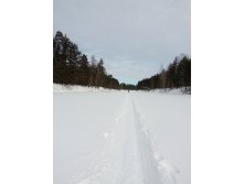 IMG 20170205 122117.jpg