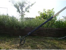 Дракон 300р